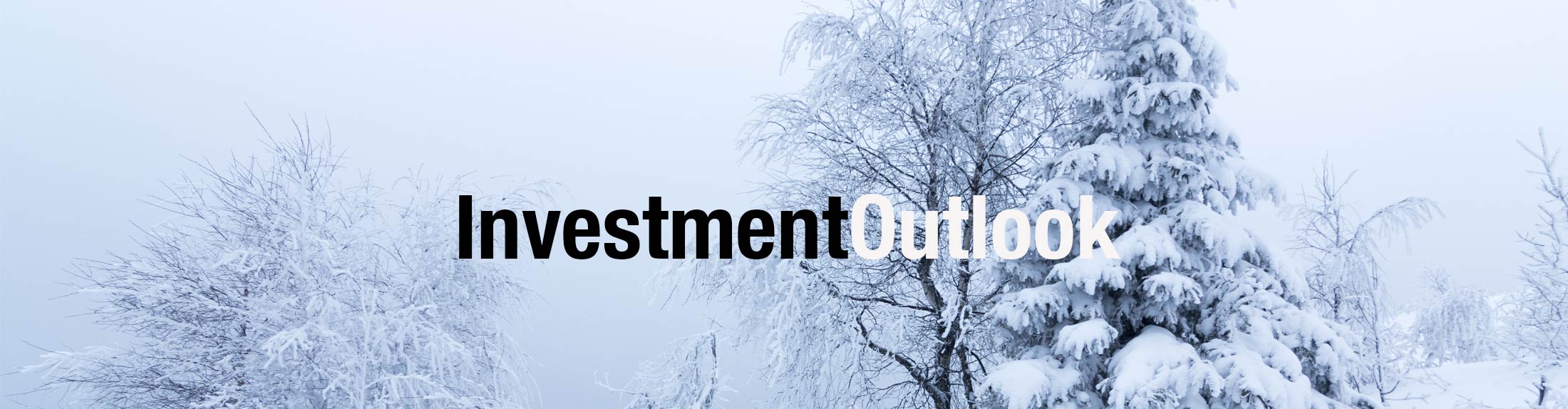 Investment Outlook by Kelley Wright | IQ Trends